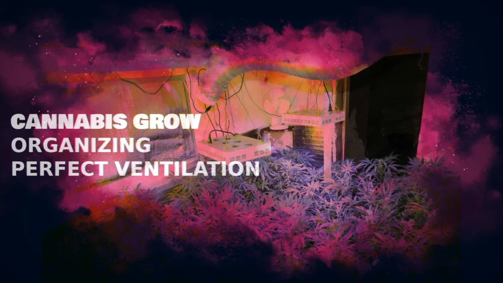 Cannabis grow: organizing the perfect ventilation | 2023