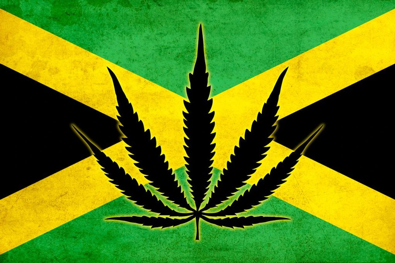 In this article, you can read about the major laws cannabis in Jamaica and the history and innovations of 2023. The most up-to-date information.