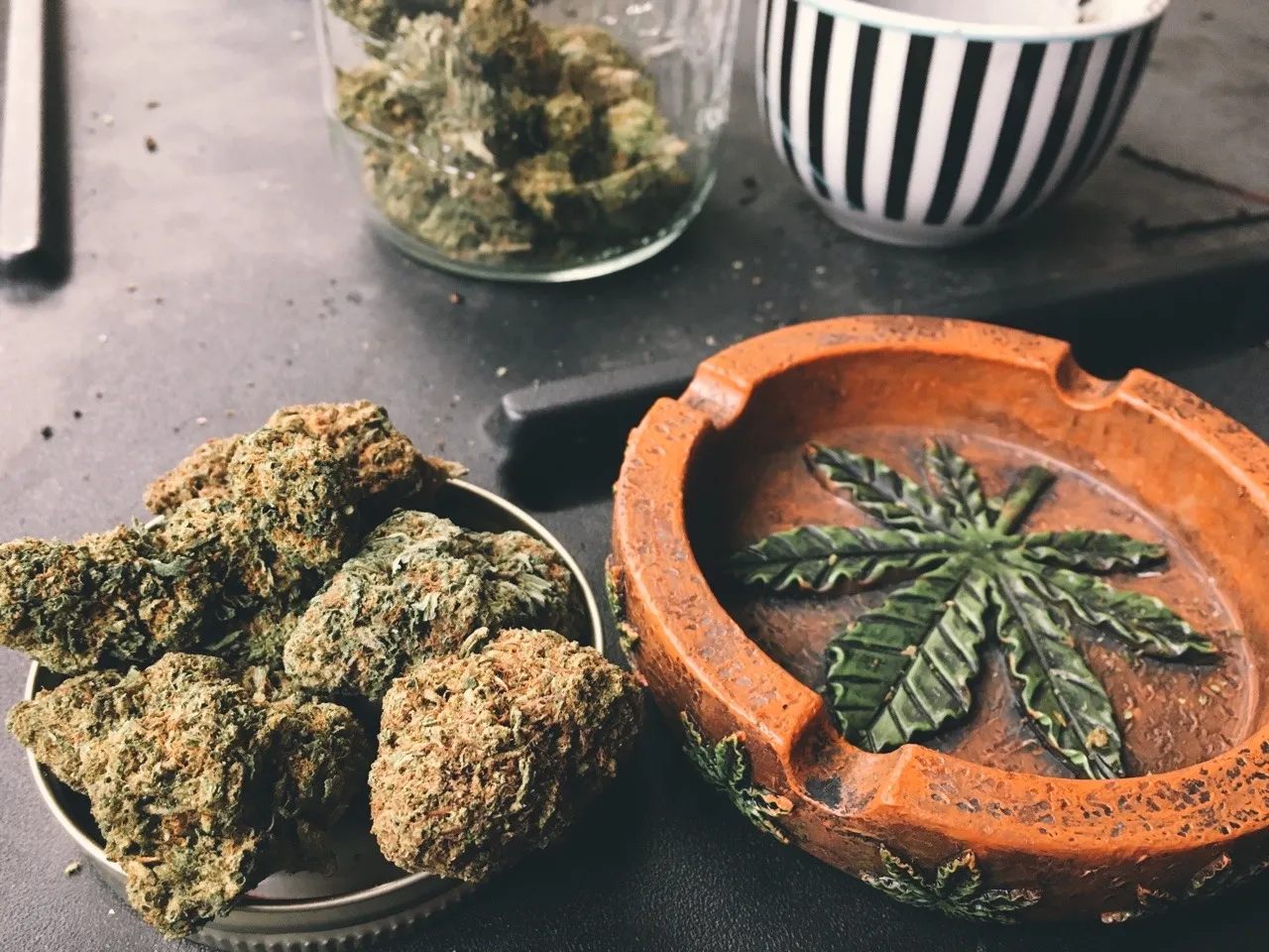 Removing parasites with cannabis: is it real? In this article, you can learn about the most unexpected and beneficial effects of weed!